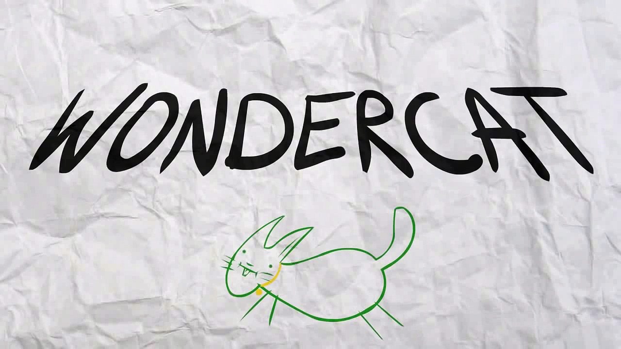 Wonder Cat - Asteroid Anarchy!
