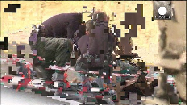 Two Palestinians shot dead after attacking Israeli in West Bank