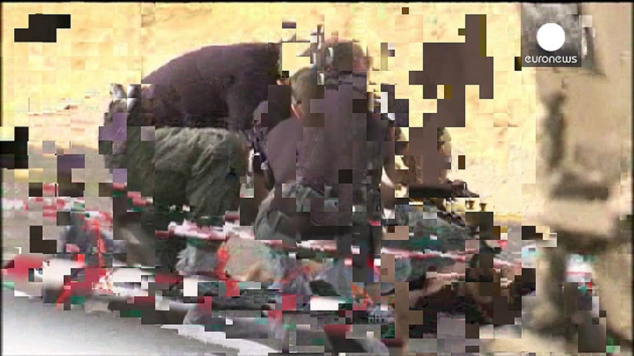 Two Palestinians shot dead after attacking Israeli in West Bank