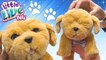Snuggles My Dream Puppy * Little Live Pets New Interactive Realistic Toy Dog by DCTC