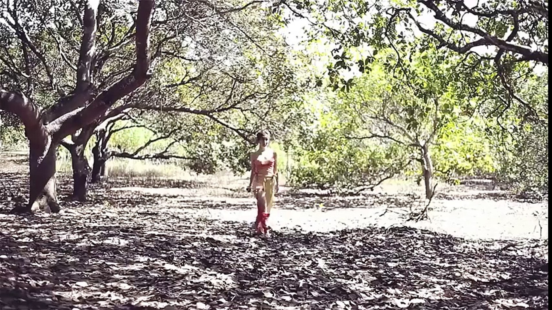 clip show - show sexy, video sexy