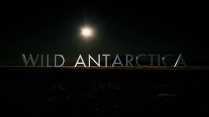 Дикая Антарктика / Wild Antarctica (2015) HD