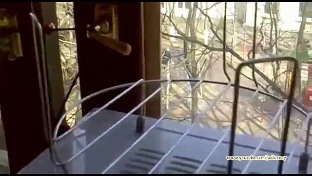 Cмешные коты подборка №2 кот лает как собака