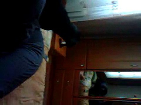 моя собака лает в дзеркало