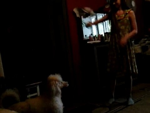 Собака лает на мячик