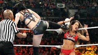 Natalya vs. Paige_ Raw Catfight Competition_ january 2016