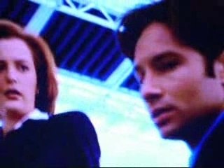 David Duchovny' bride