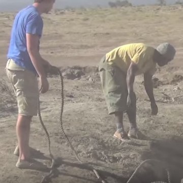Vários homens salvam um bebê elefante da morte certa