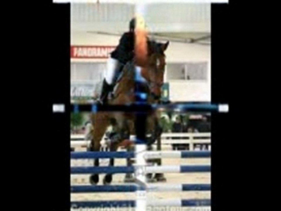 Incroyable ce que peut faire un cheval