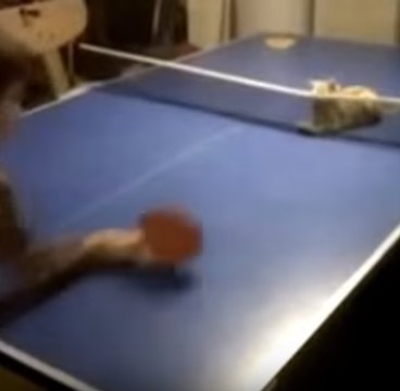 Um jogo de ping pong incrível
