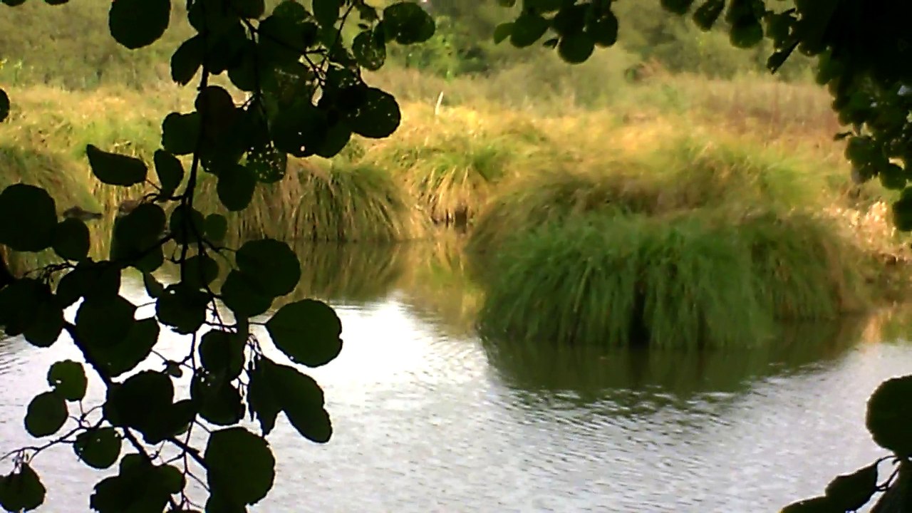 Le lac Tranquille (bis)