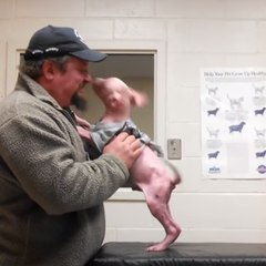 A Pitbull is reunited with its rescuer