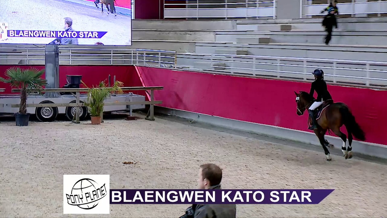 BLAENGWEN KATO STAR