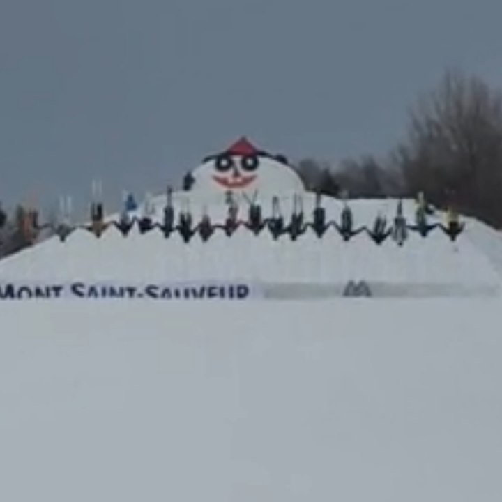 A backflip while holding hands