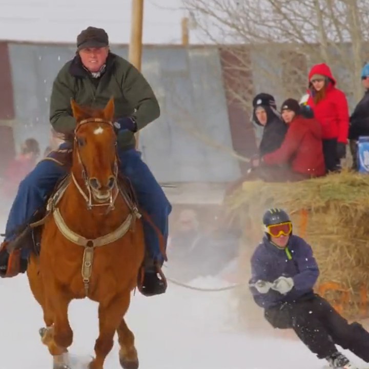 The amazing ski harness