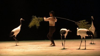 Light Bird : oiseaux et hommes dansent ensemble à La Criée