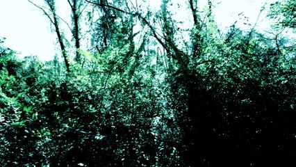 TOMBS - "V" (Official Music Video)