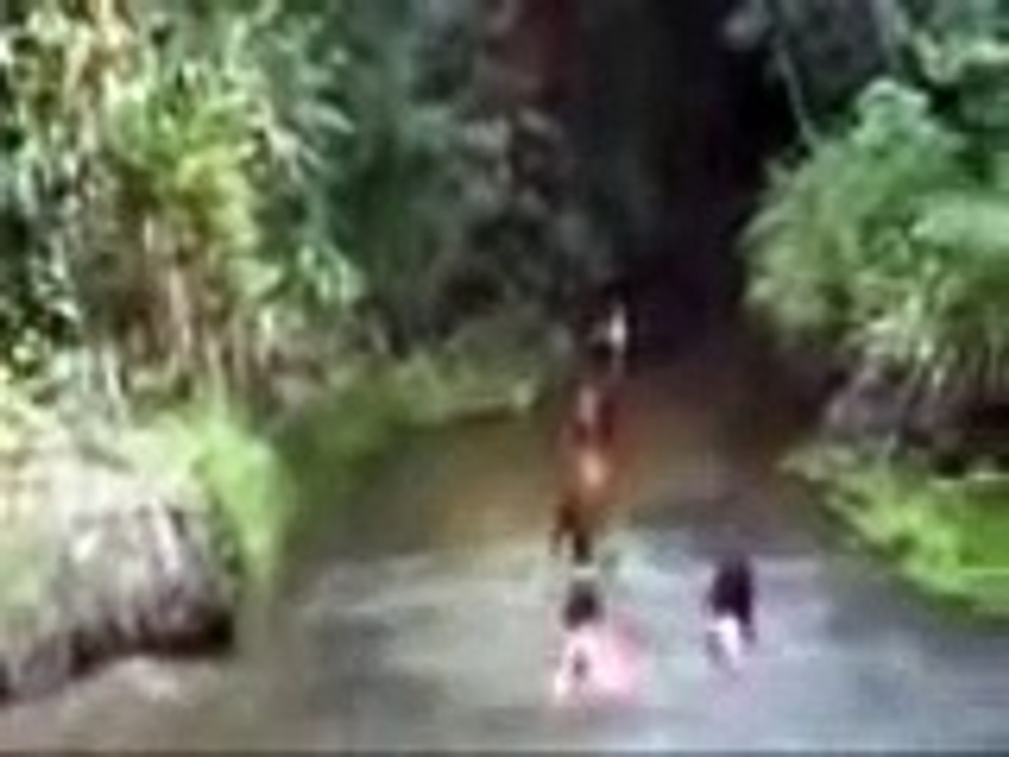 Molecada filma ser bizarro na beira do rio