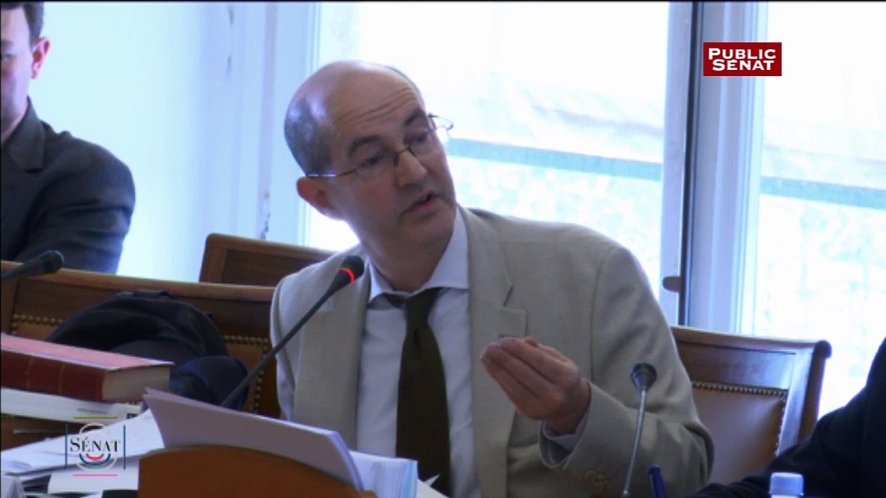 Déchéance de la nationalité : L’historien Patrick Weil alerte sur le risque de création « d’animaux humains »