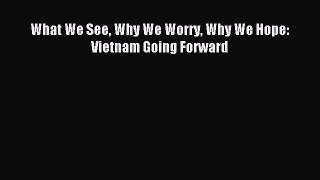 Download What We See Why We Worry Why We Hope: Vietnam Going Forward Ebook Free