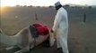 Funny Arab Man Camel Ridding Fail-Top Funny Videos-Top Prank Videos-Top Vines Videos-Viral Video-Funny Fails
