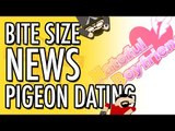 Pigeon Dating Simulator (Hatoful Boyfriend) WTF | Bite Size News