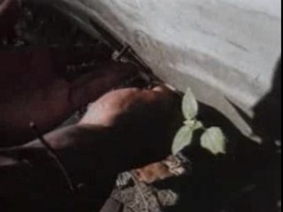 Naughty_by_nature-ghetto_bastard-dvdrip-xvid-1991-cms