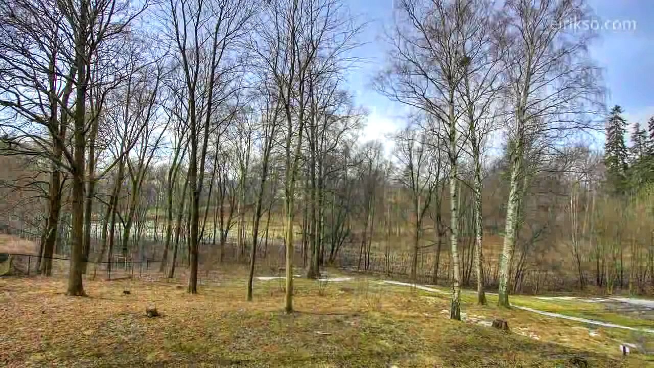 Один год за 40 секунд.Смена времен года .Красиво.