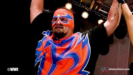 10 Things WWE Wants You To Forget About Roman Reigns HD 720p