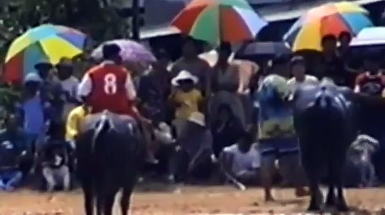 Raging bull attacked a crowd of people - Horrible bull