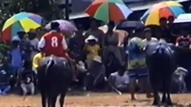Raging bull attacked a crowd of people - Horrible bull