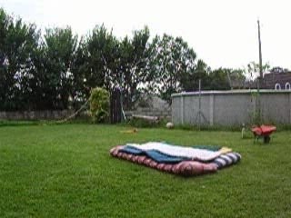 Salto Avant Amélioré