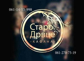 Srecko Krecar i orkestar Borka Radivojevica - Mnogo sam te zavoleo - uzivo - Staro drvce