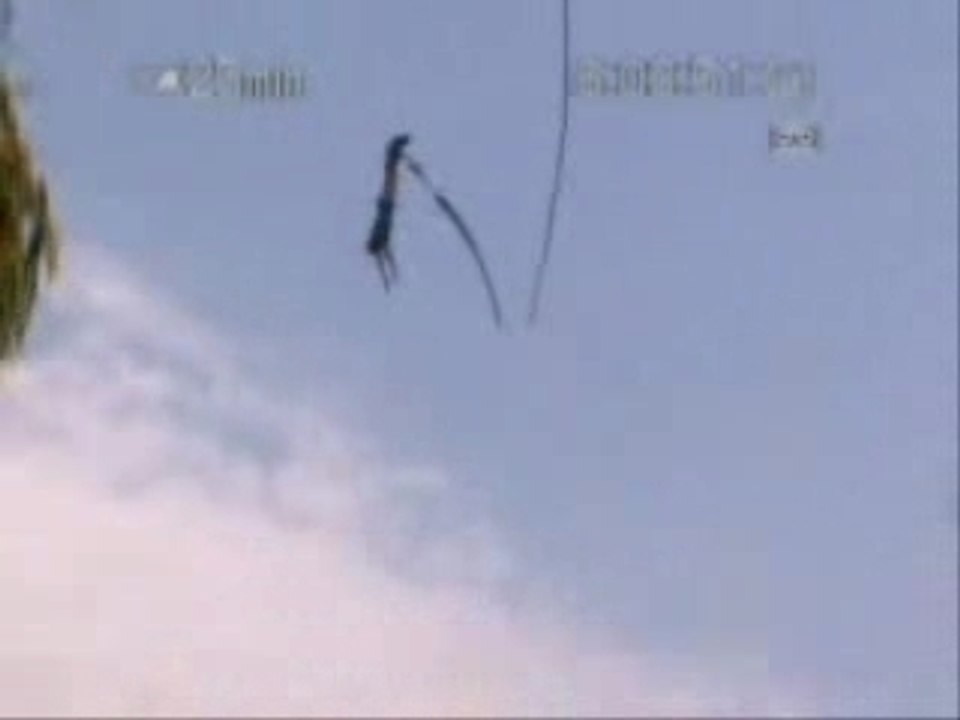 [Aligator] Saut à l'Elastique