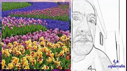 ALLAHIN SANATLI VARLIKLARI çok şey kısa zamanda yapılır.