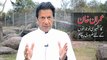 Imran Khan Special Message For Azad Kashmir Youth For Upcoming Elections