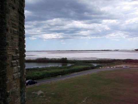 Aigues-Mortes - Les Salins