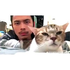 DRAKE HOTLINE BLING CAT COVER 2016 #ben iMOoD