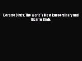 Read Extreme Birds: The World's Most Extraordinary and Bizarre Birds Ebook Free