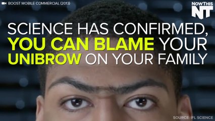 Unibrow & Bushy Beard Genes, Discovered