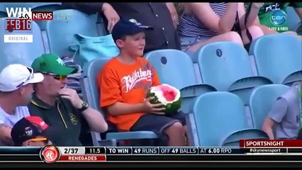 WIN Compilation February 2016 (2016/02) | LwDn x WIHEL