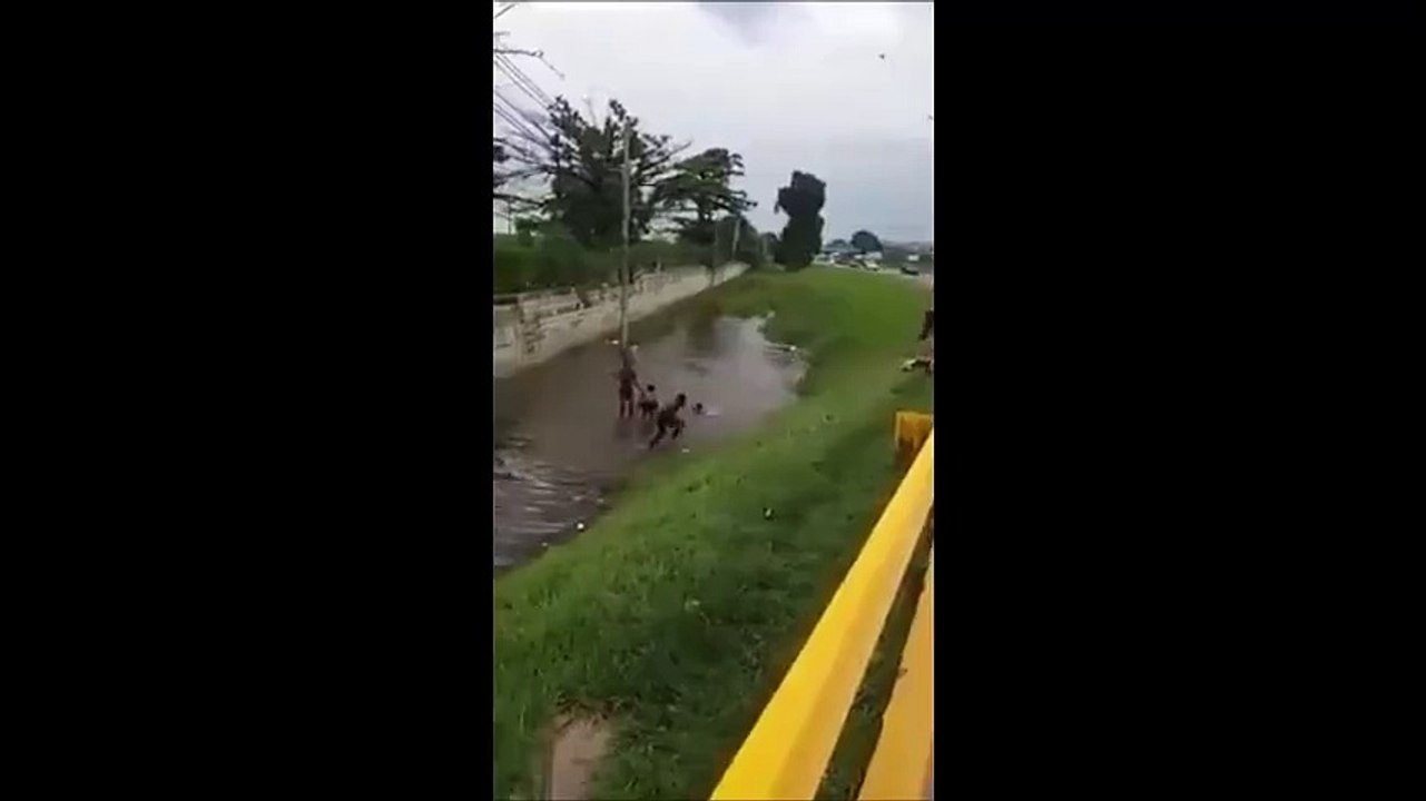 Anak Kecil Tak Mengenal Bahaya