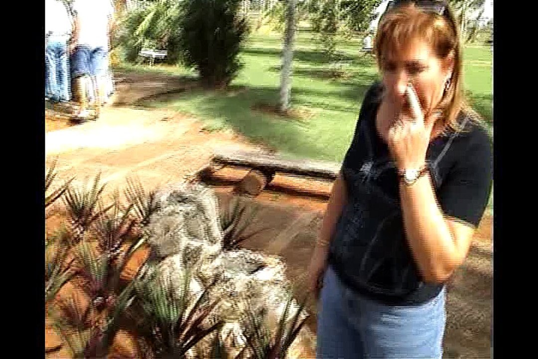 Cuba 1 di 3