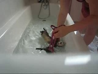 Les fufus nageurs - juin 2007