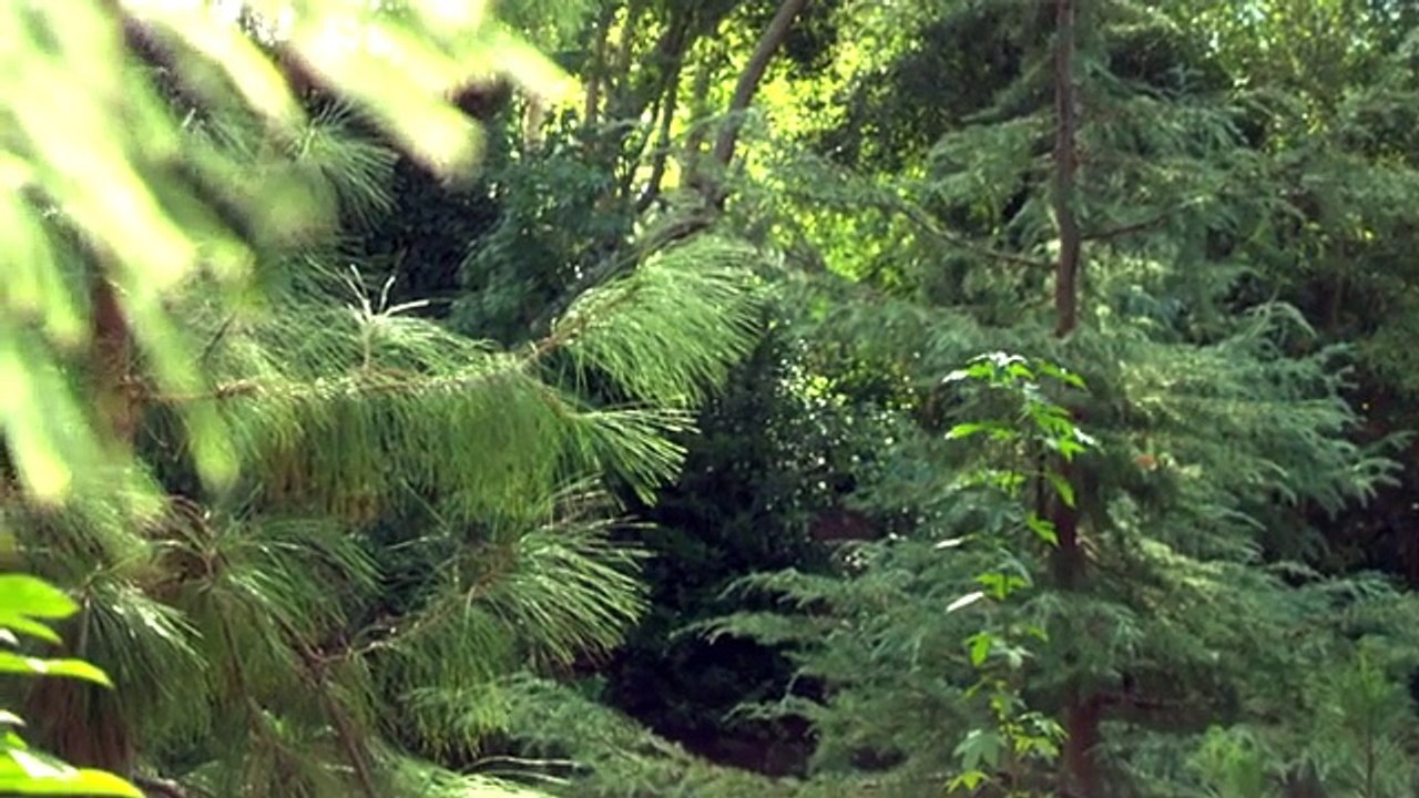 Explore Mont Blanc with Kilian Jornet, Ueli Steck, Candide Thovex, and Google Maps