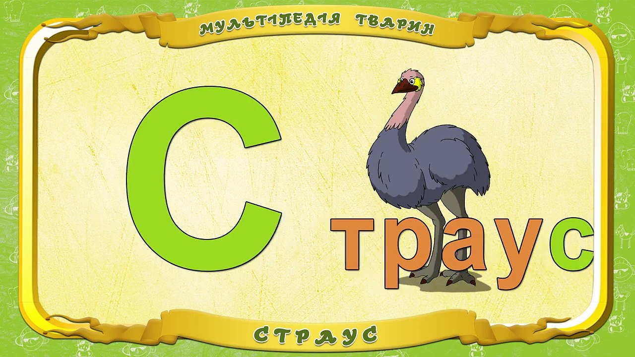 Мультіпедія тварин. Літера С Страус