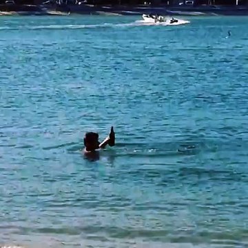 C'est pas l'attaque d'un serpent qui va empêcher cet Australien de boire sa bière !