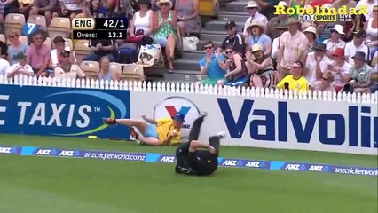 Astonishing catch by BALL BOY in cricket!!! Give the kid a game!!!