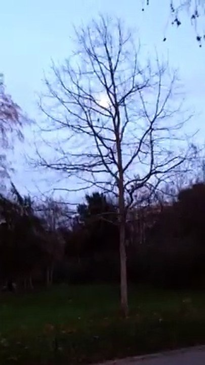 MONCEAU VIDEO POURDAYLIMOTION VIDEO 210892802_10152997492588291_1347876275_n