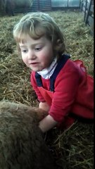 Une fillette s'approche d'une brebis enceint et ce qu'elle lui fait vous laissera sans mots!